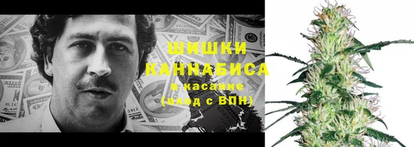 МДПВ Абаза