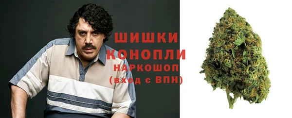 МДПВ Абаза