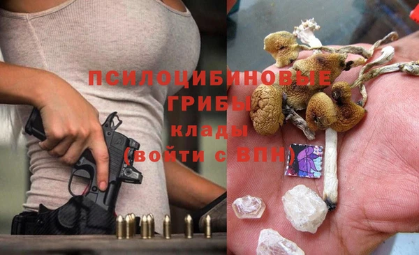 МДПВ Абаза