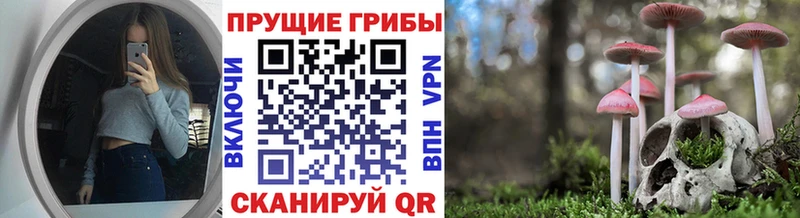 darknet телеграм  Абинск  Галлюциногенные грибы Psilocybine cubensis  kraken зеркало 